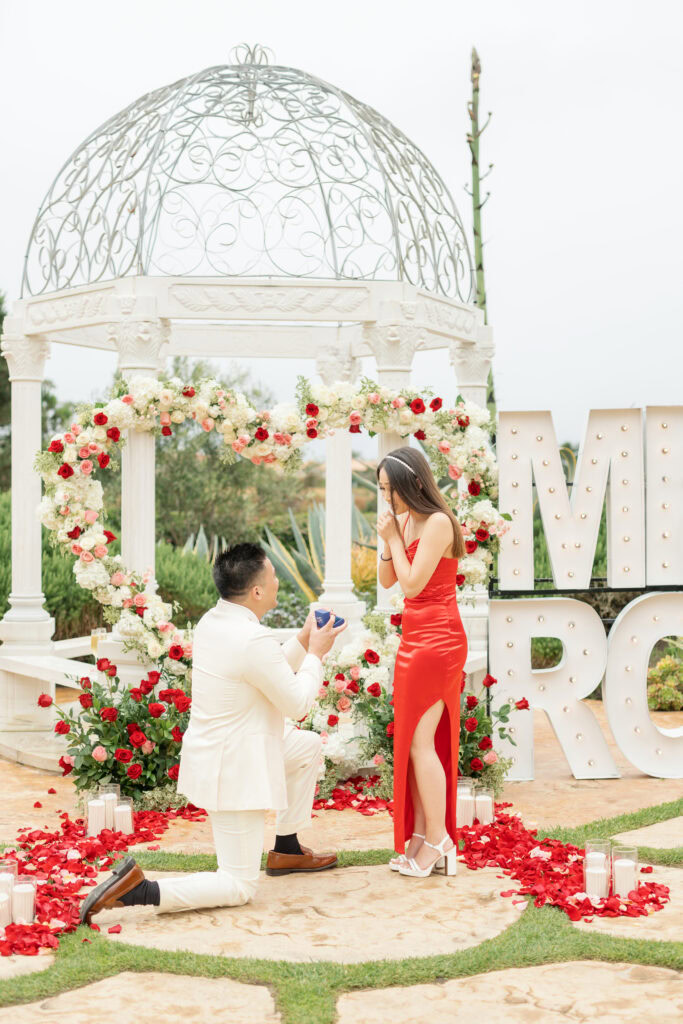 Waldorf Astoria Proposal