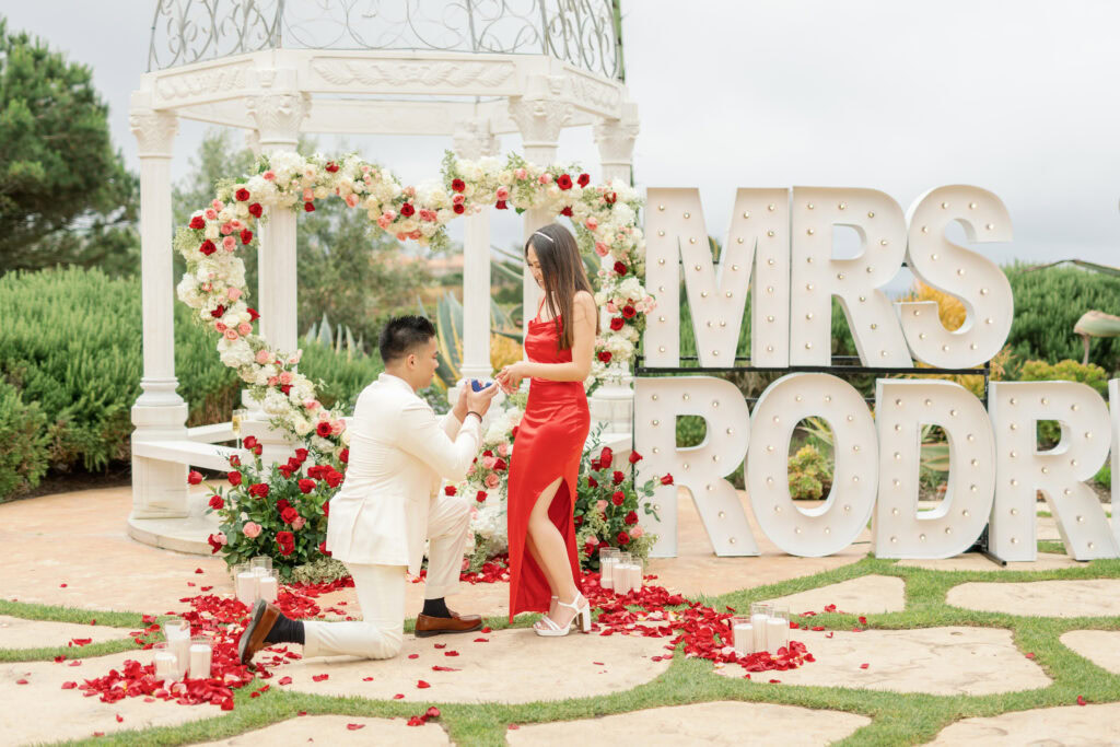 Heart Arch Proposal by The Yes Girls