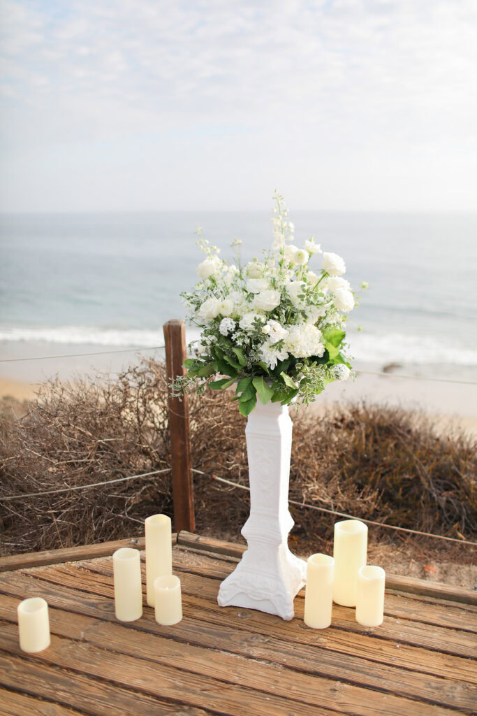 Orange County Beach Proposal