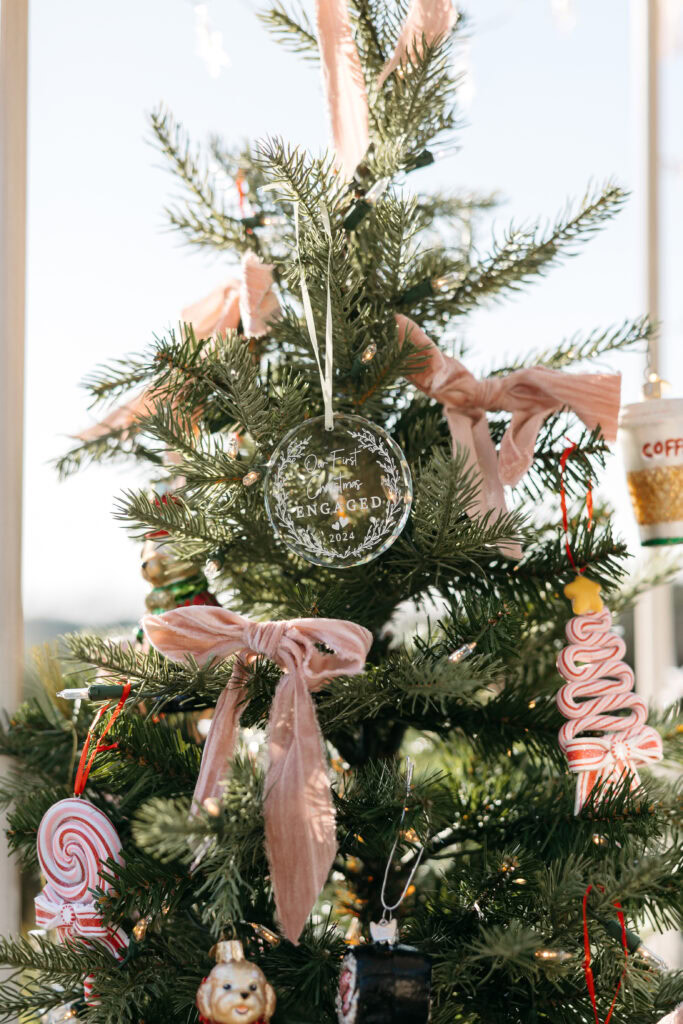 Christmas Tree Proposal