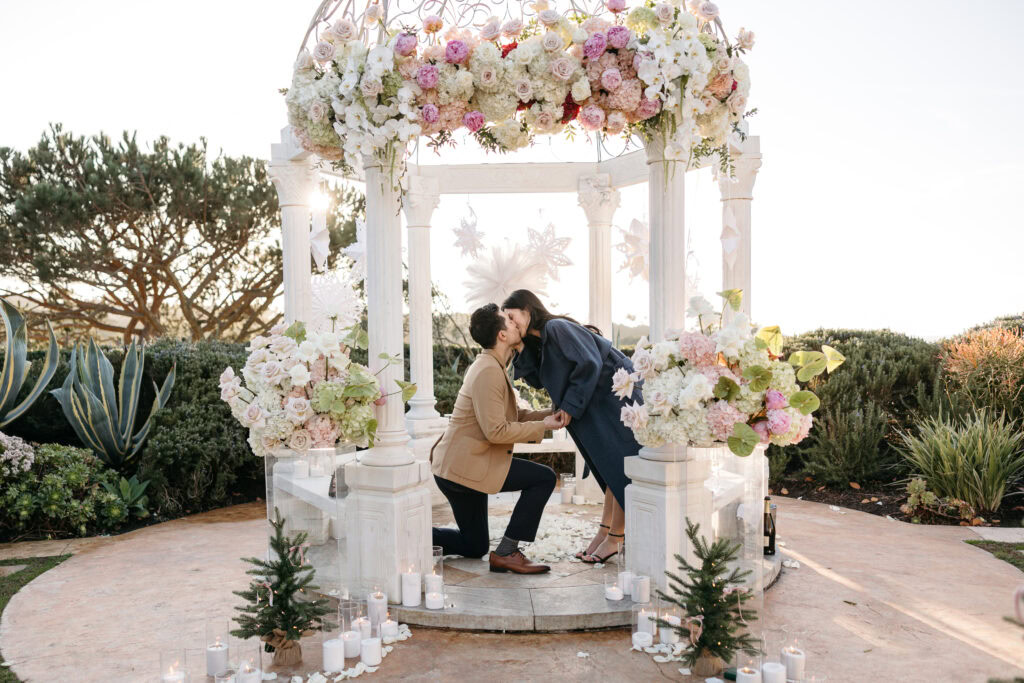 Laguna Beach Proposal