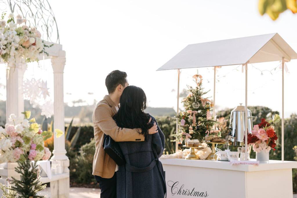 Laguna Beach Holiday Proposal
