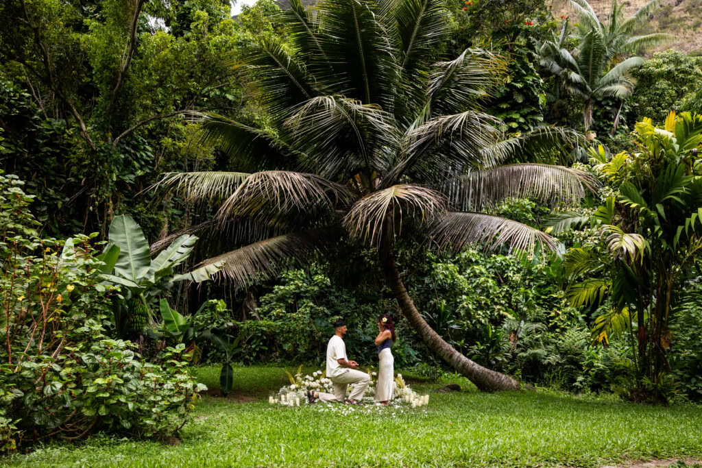 Big Island Hawaii Engagement