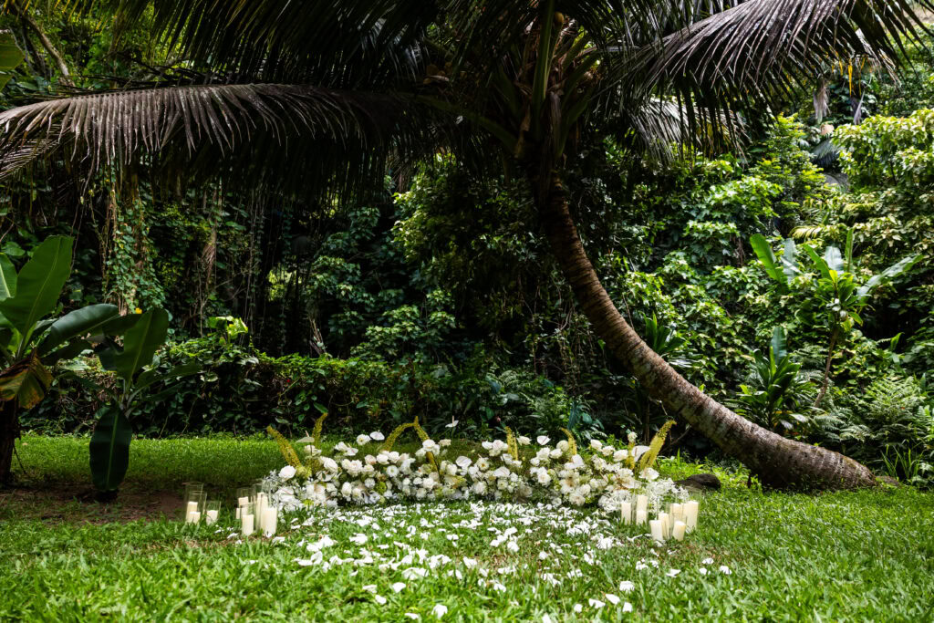 White Rose Hawaii Proposal