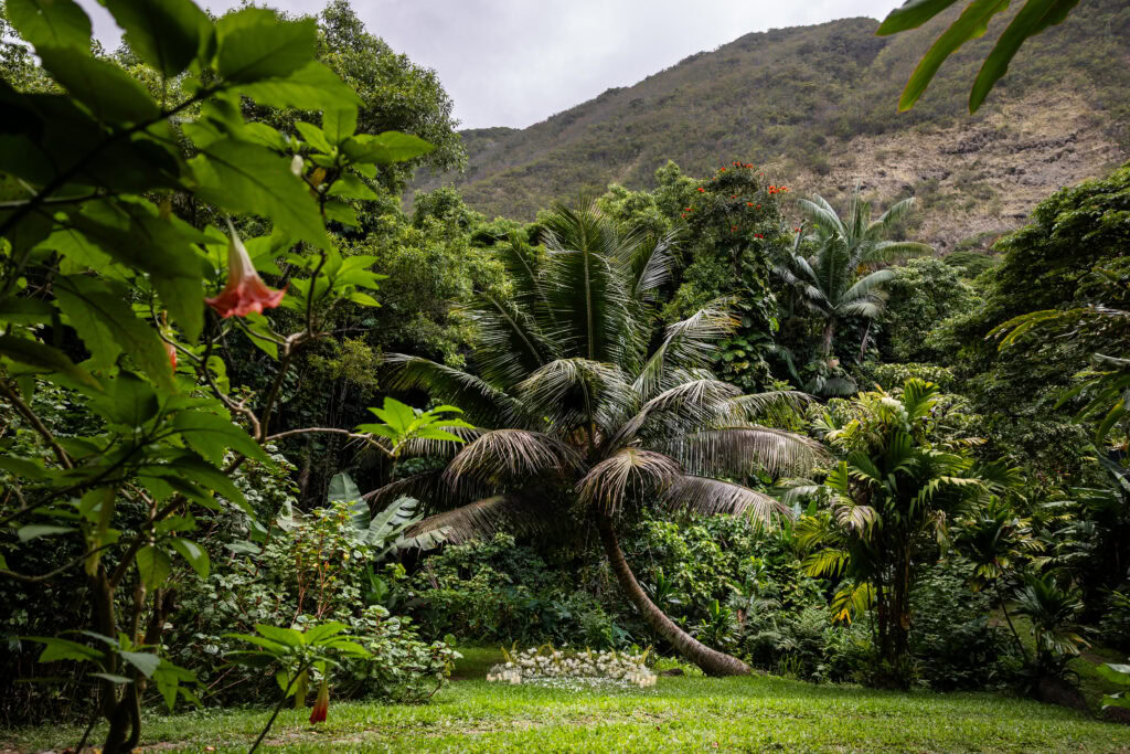 Hawaii Romantic Engagement