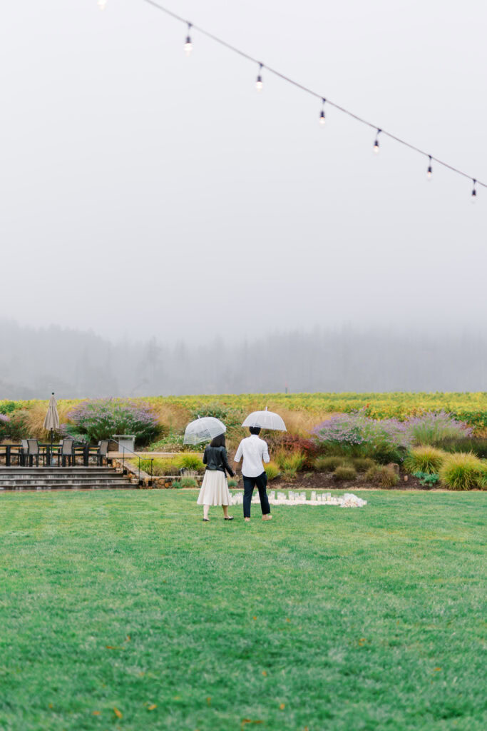 Rainy Napa Valley Proposal