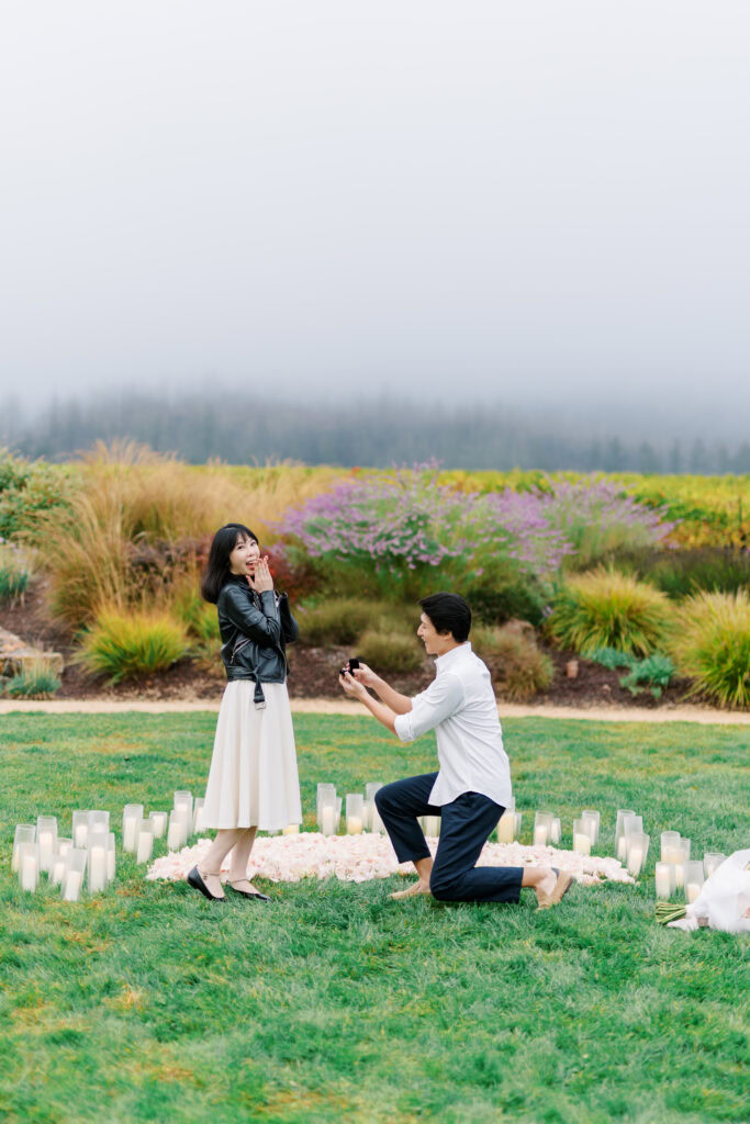 Rain Day Napa Proposal