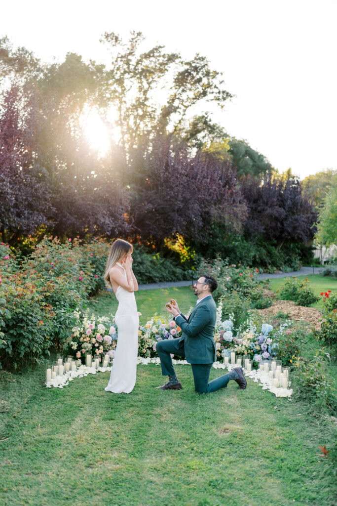 Napa Rainbow Gadren Proposal