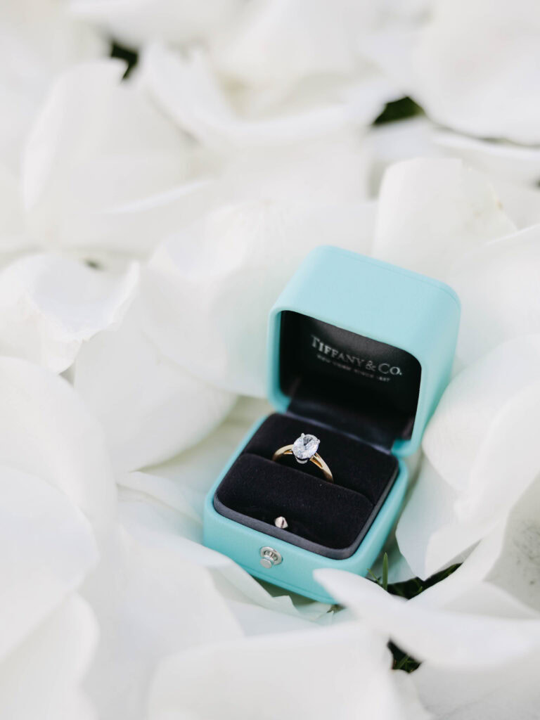 Grand Wailea Proposals