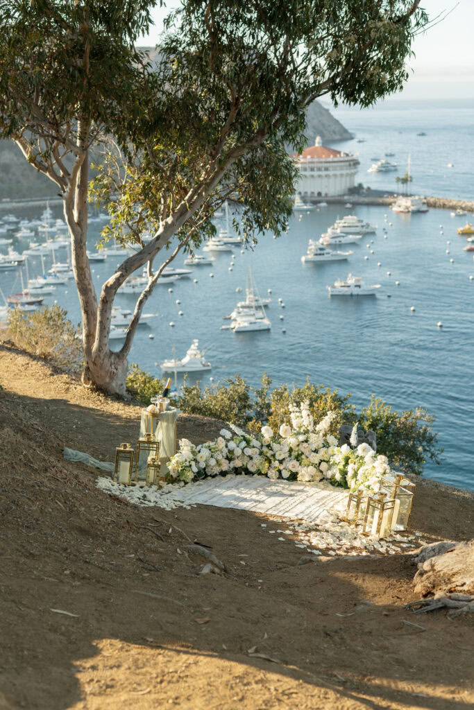 Catalina Island Proposal
