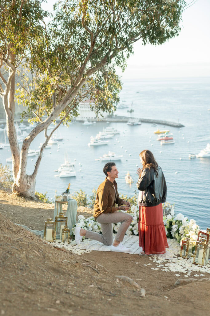 Luxury Catalina Island Proposal