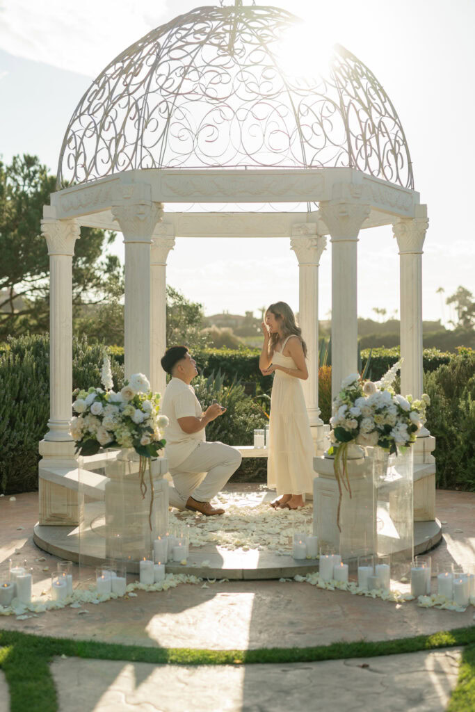 Orange County Beach Proposal