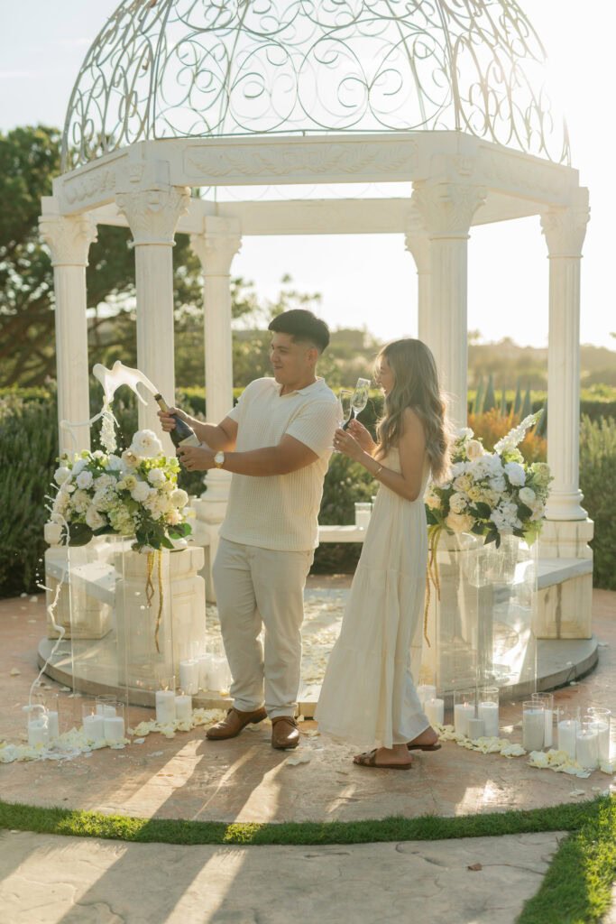 Waldorf Astoria Proposals