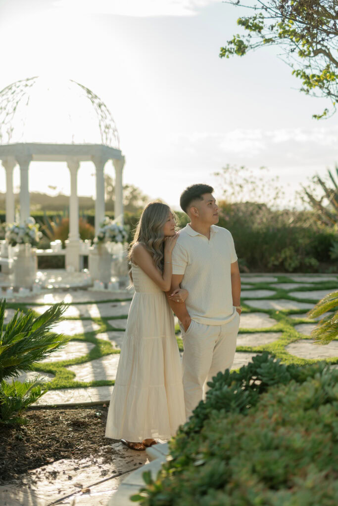 Orange County Beach Proposal