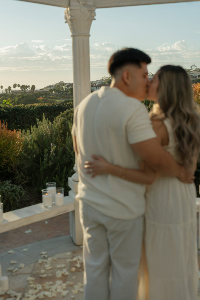 Orange County Beach Proposal