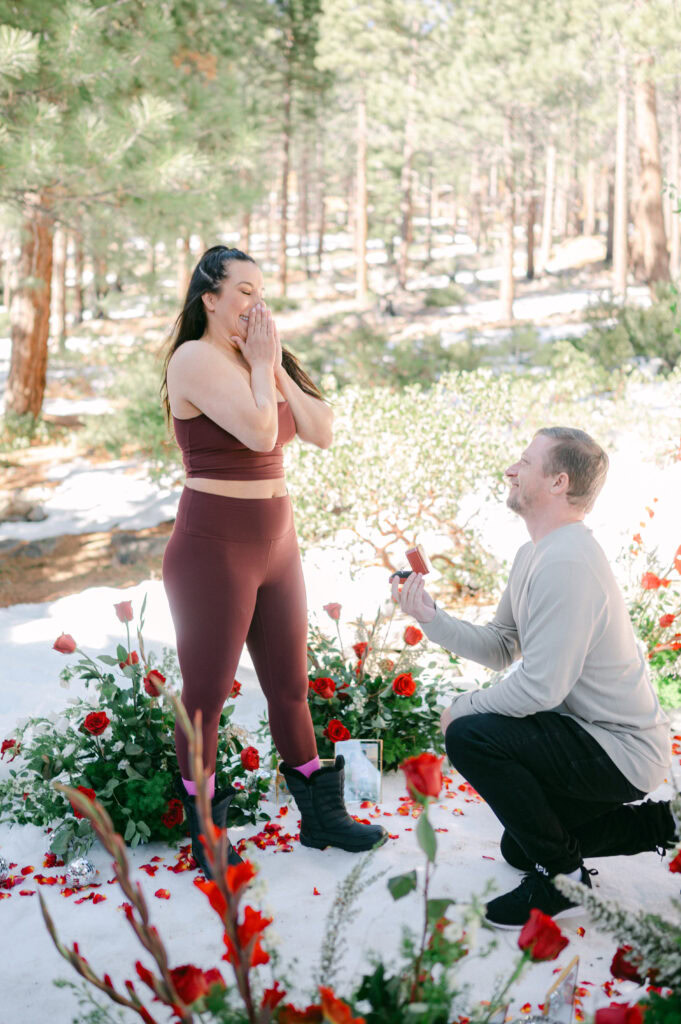 Forest Proposal