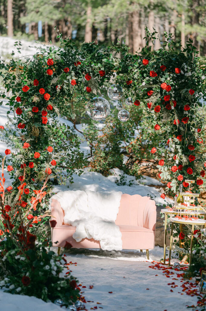 Winter Wonderland Proposal