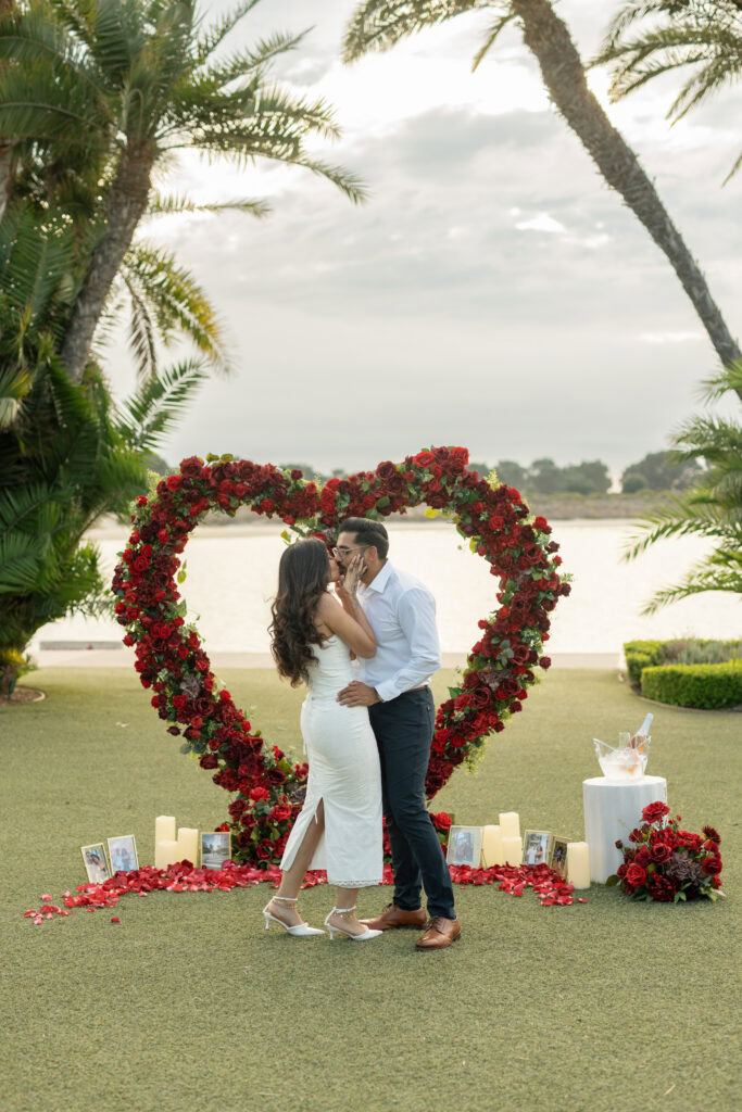 San Diego Luxury Proposal