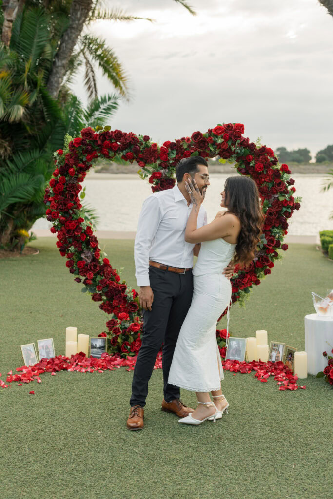 San Diego Luxury Proposal