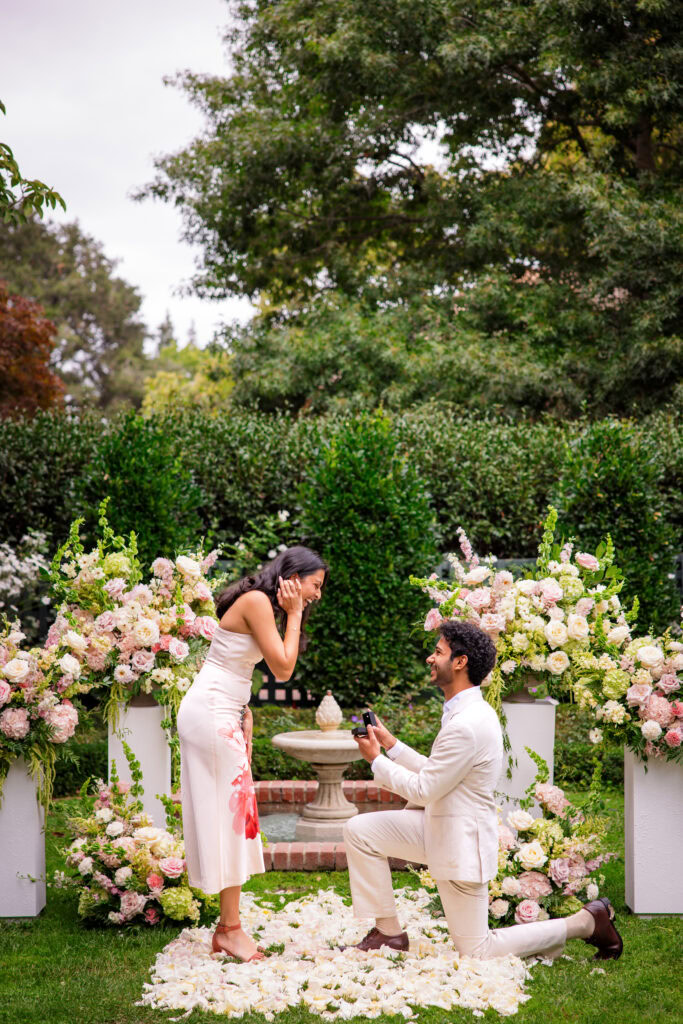 Napa Gardens Proposal