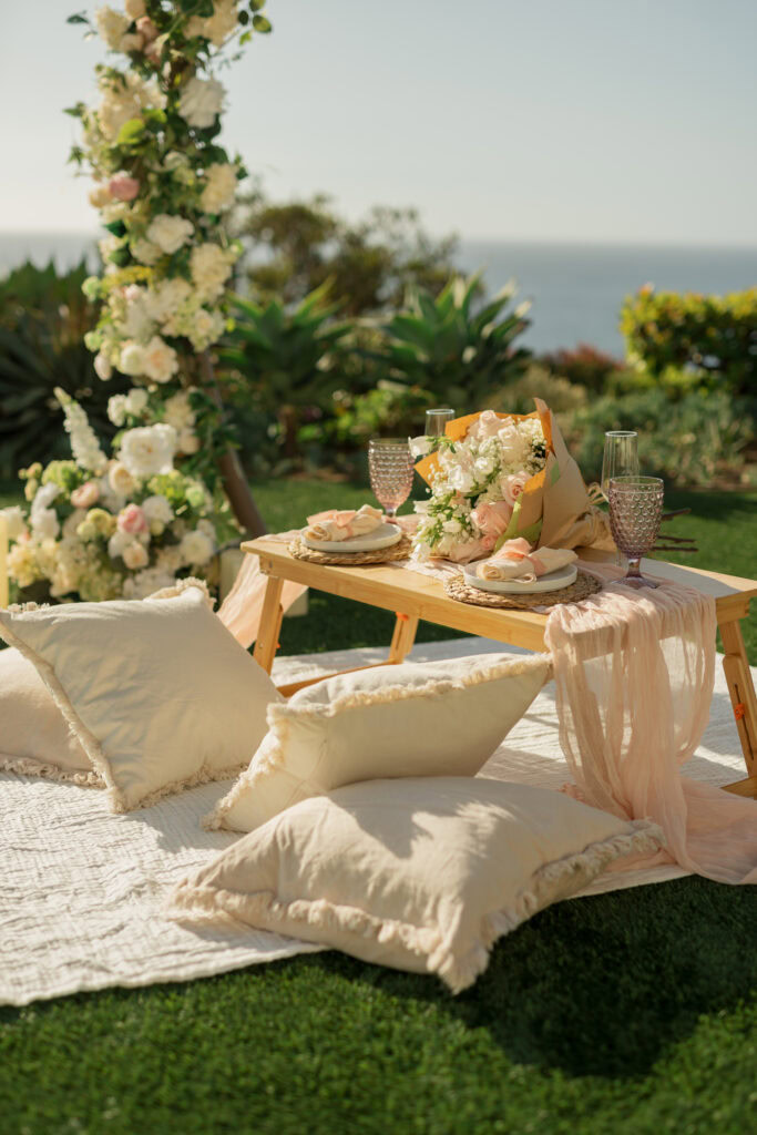 OC Luxury Picnic Proposal
