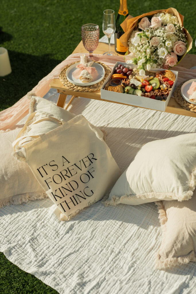 Luxury Picnic Proposal