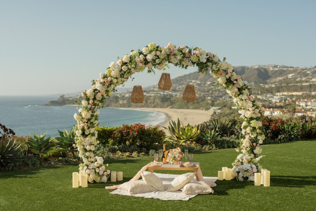 OC Luxury Picnic Proposal