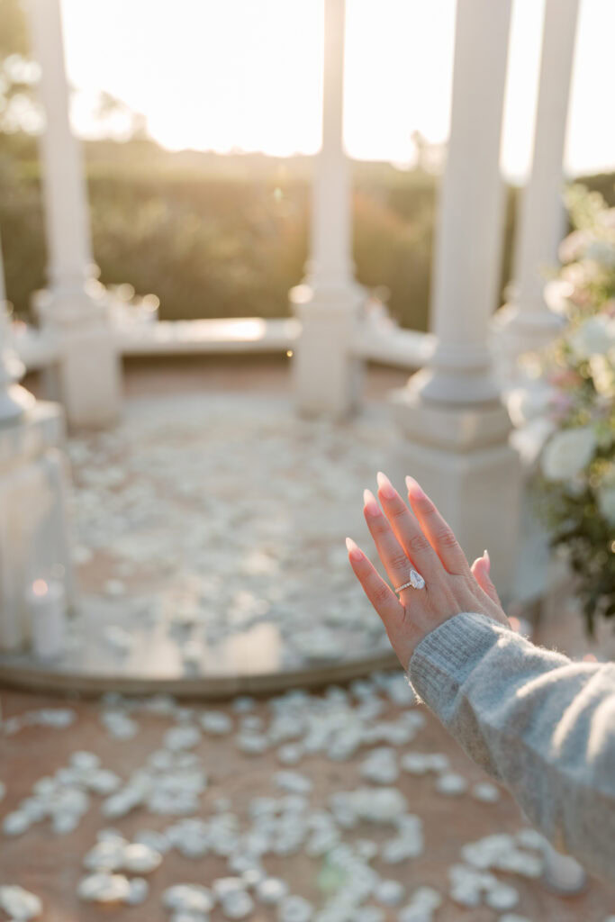 Waldorf Astoria Proposals