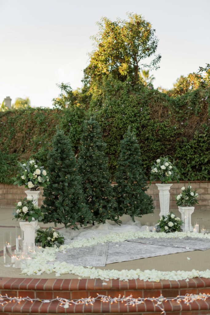 Christmas Tree Proposal