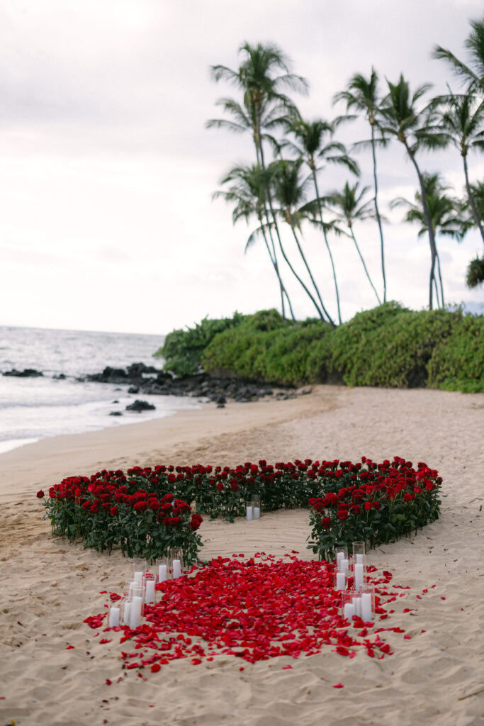 Maui Red Heart Proposal