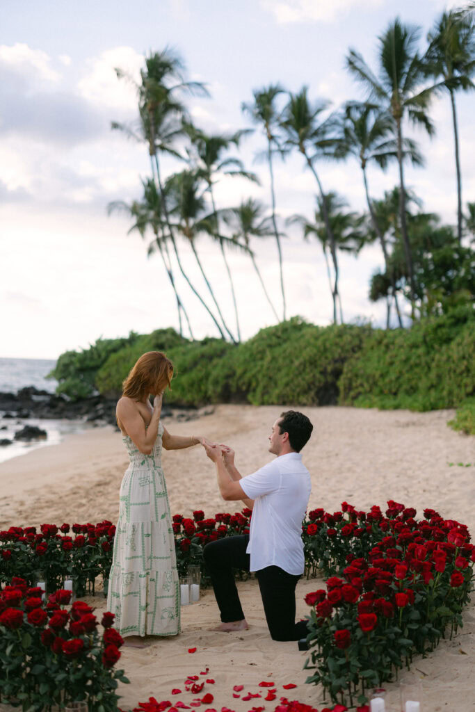 Maui Beach Proposal