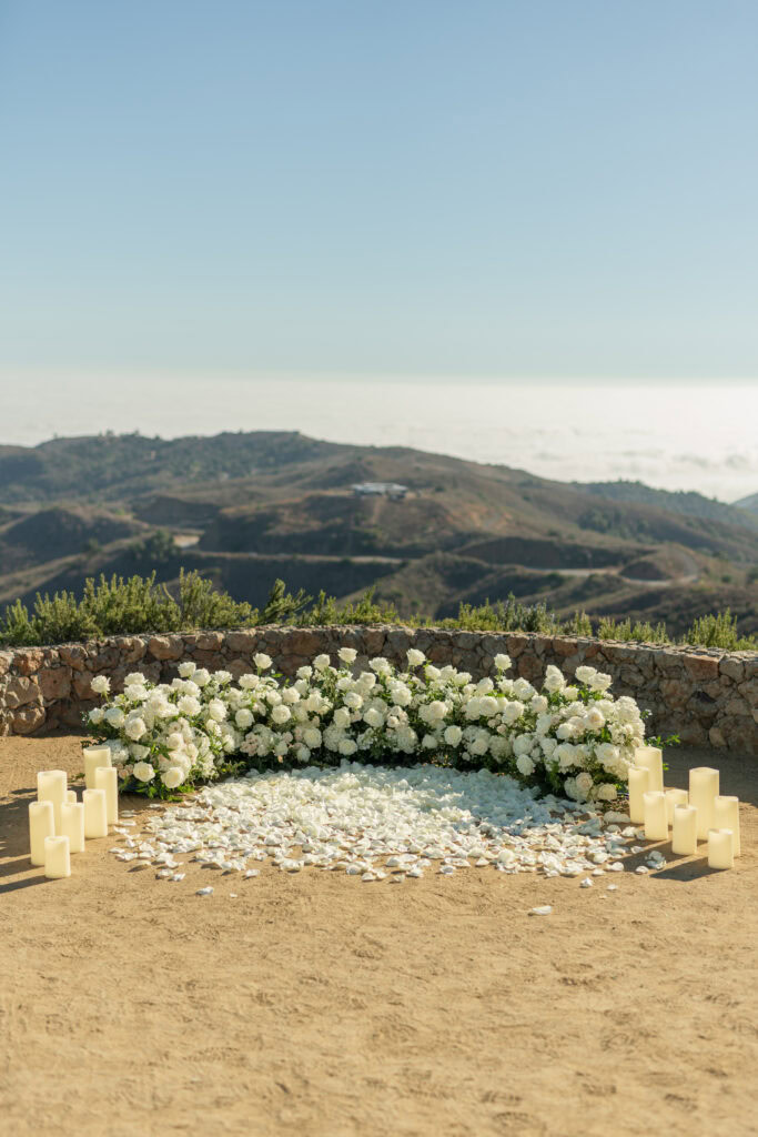 Malibu Hills Proposal