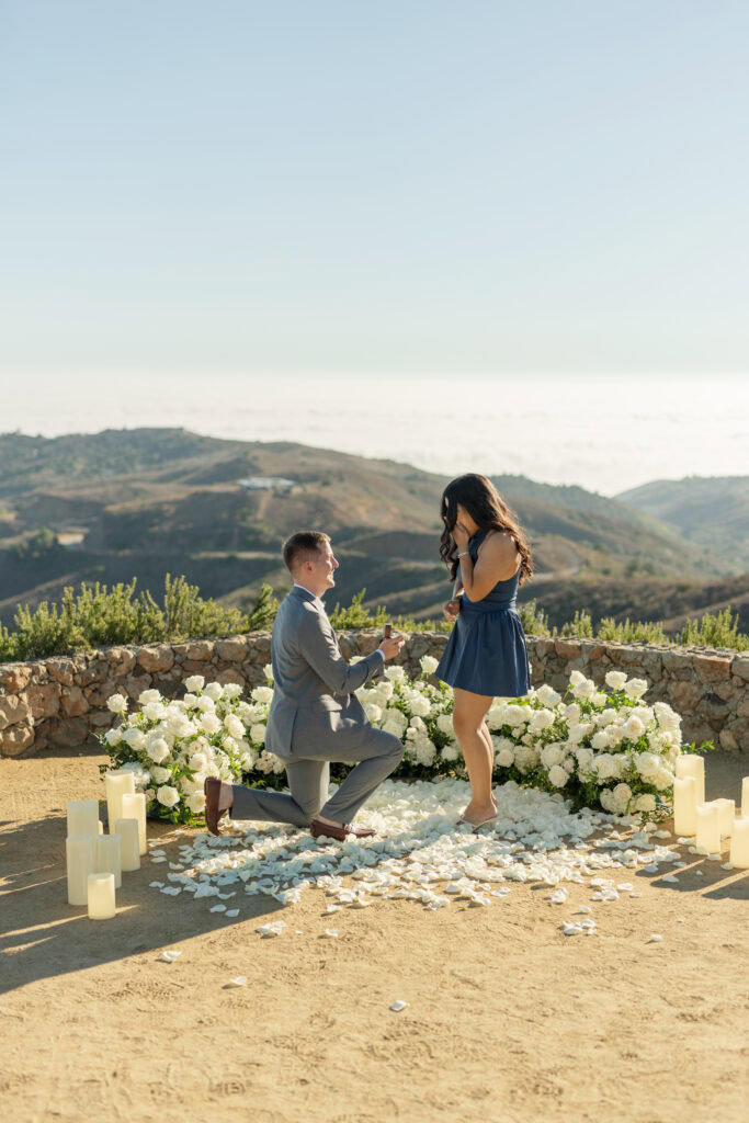 Malibu Proposal