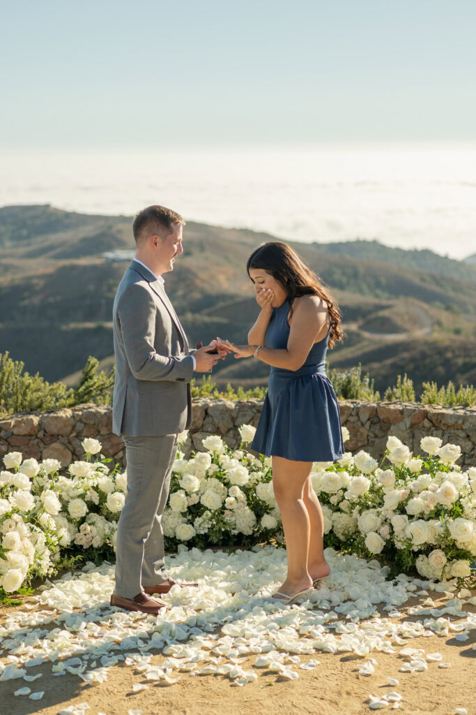 Malibu Proposal