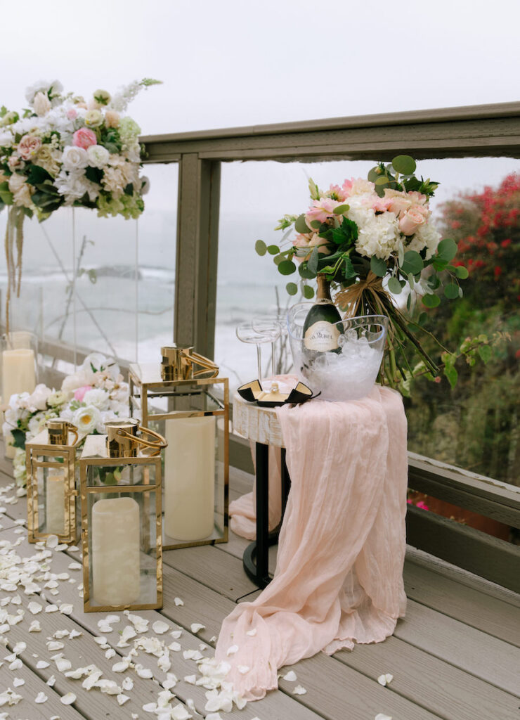 Laguna Beach Proposal