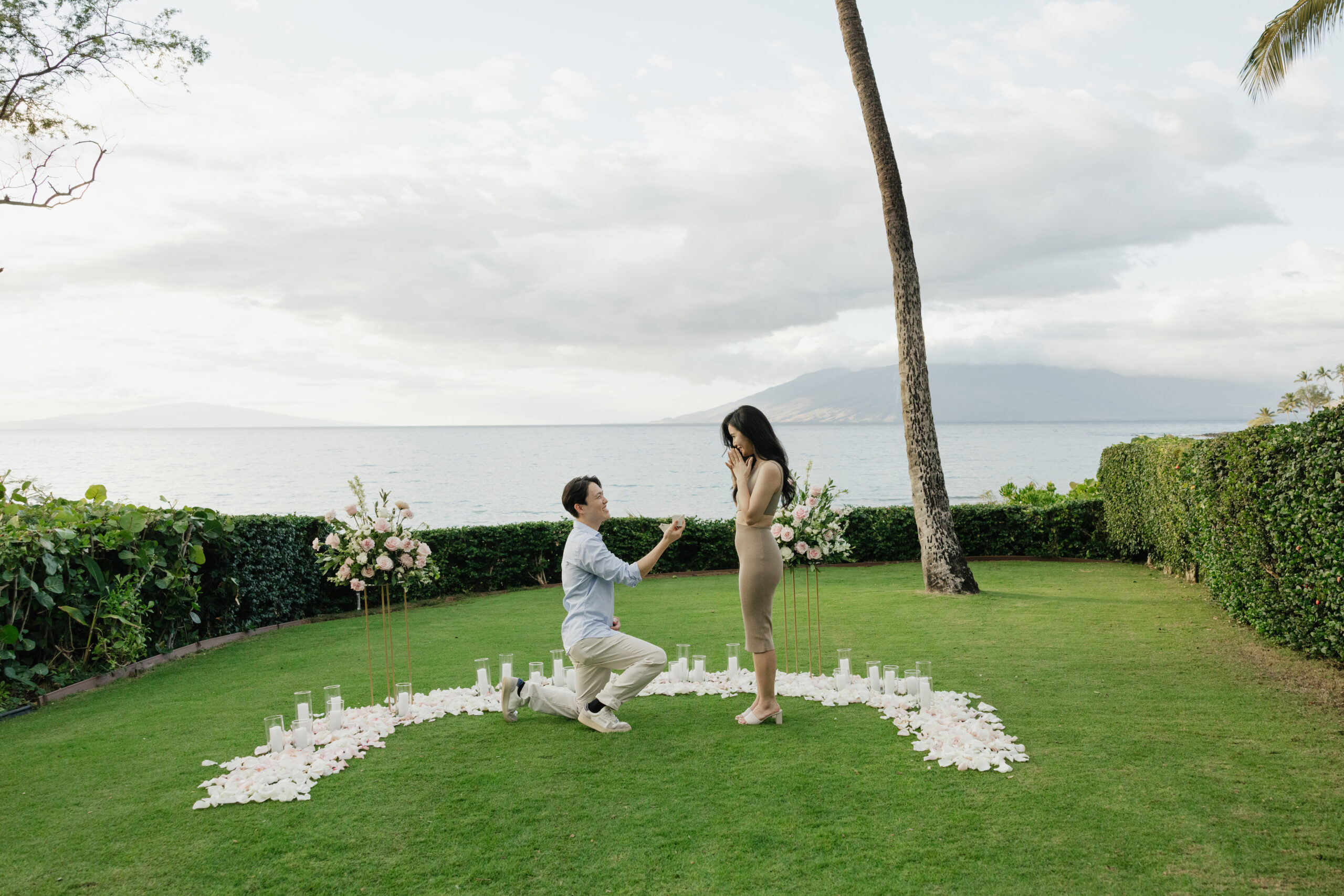 Proposal on one knee inside a ring of white petals on the oceanfront lawn at the Grand Wailea