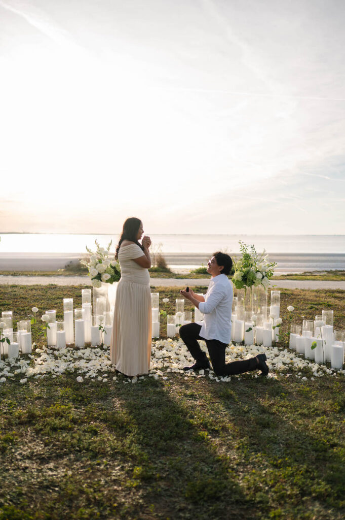 Florida Sunset Proposal