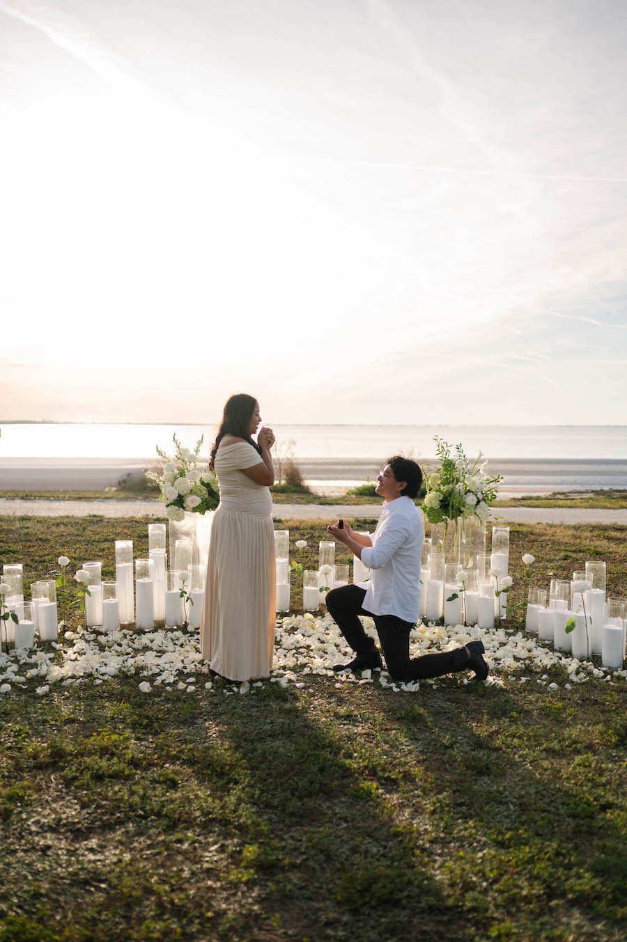 Florida Sunset Proposal