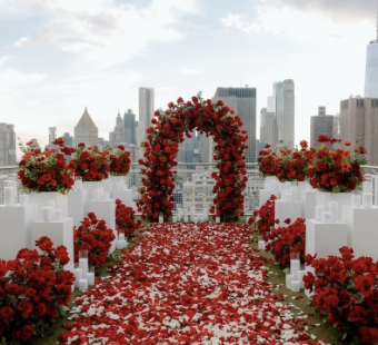 VIP Proposal Packages