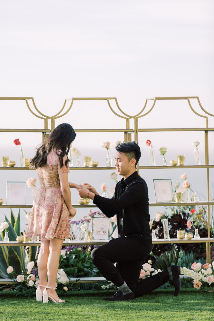 laguna beach proposal