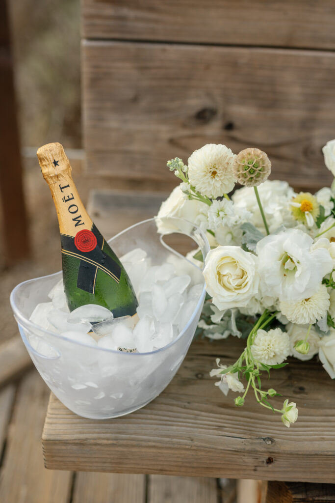 Pelican Point Proposal