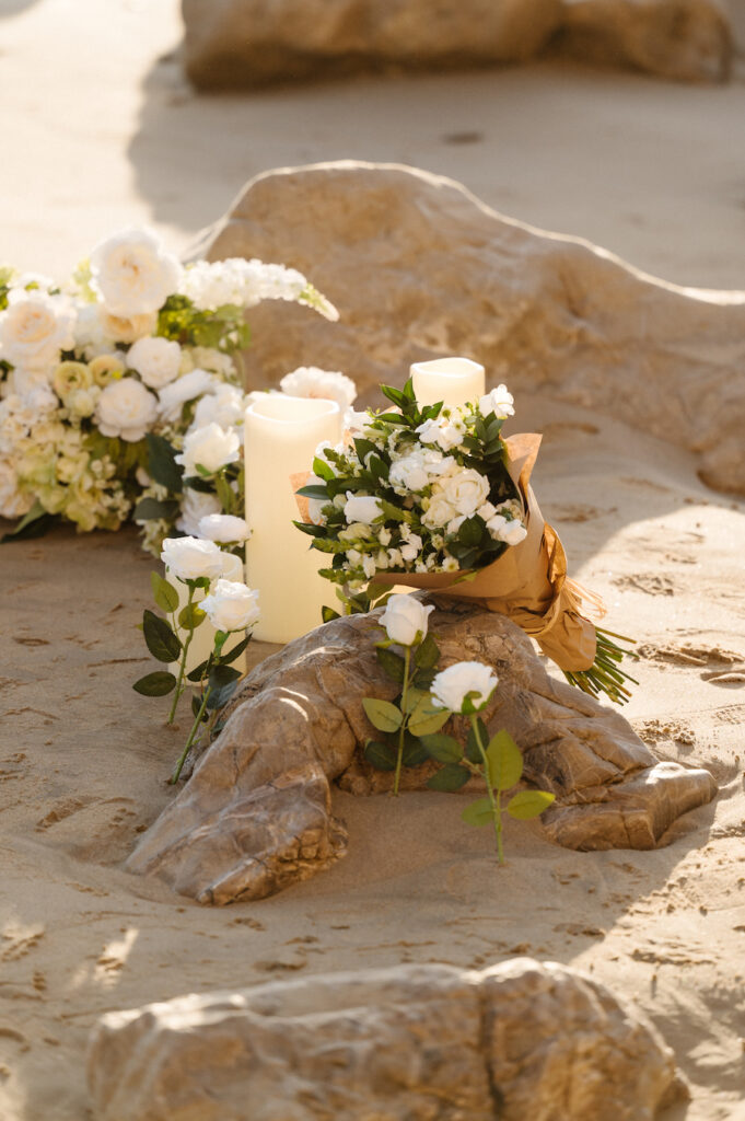 Newport Beach Proposal