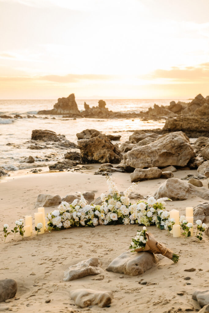 Newport Beach Proposal