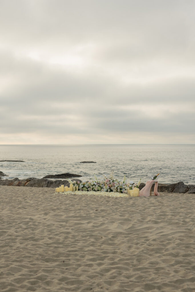 Laguna Beach Proposal