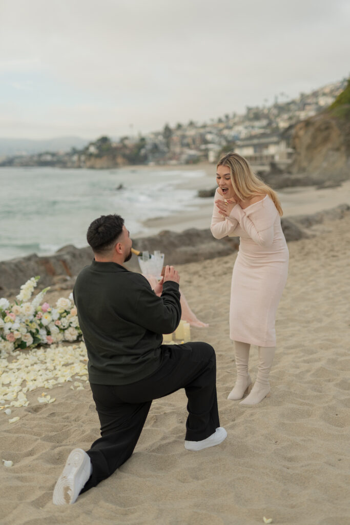 Orange County Proposal Planners