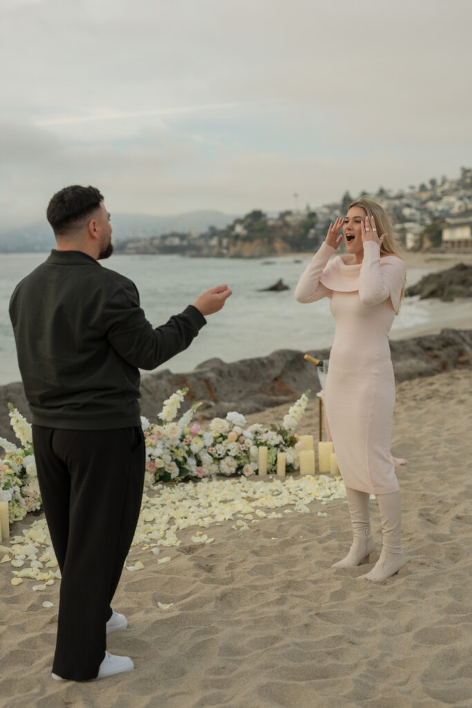 Orange County Beach Proposal