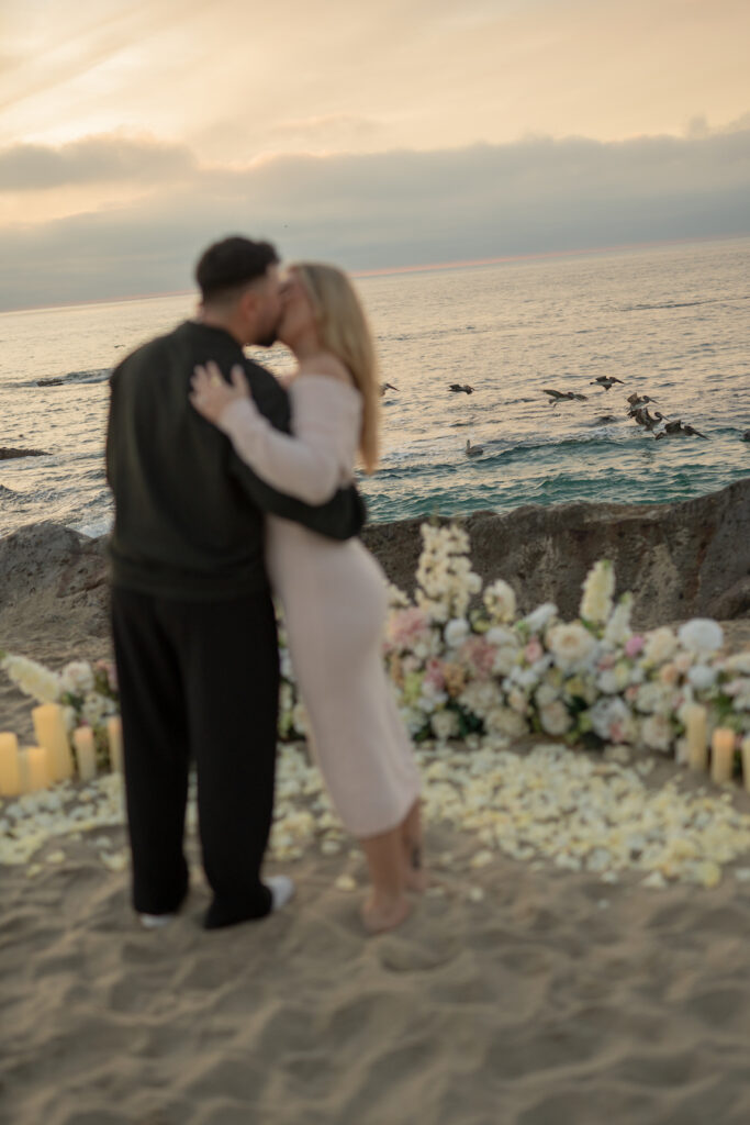 Laguna Beach Proposal