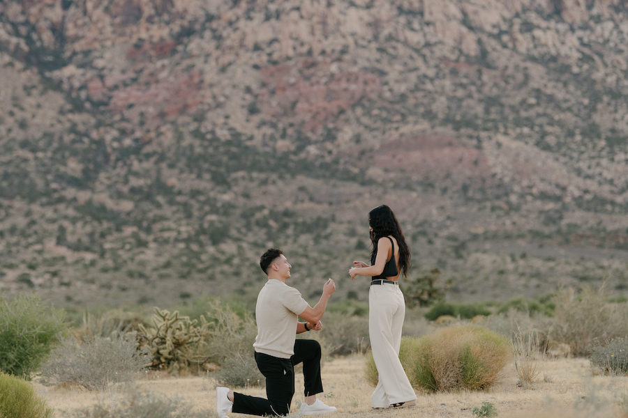 A man proposes to a woman in a beautiful desert setting with pink flowering trees in the background.