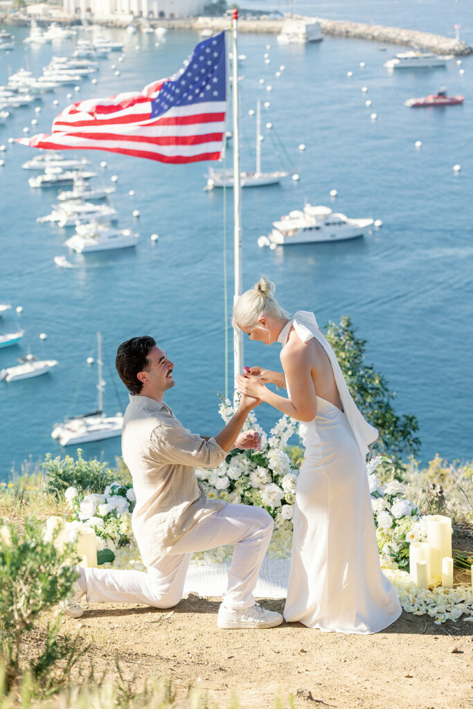 Catalina Lookout Proposal