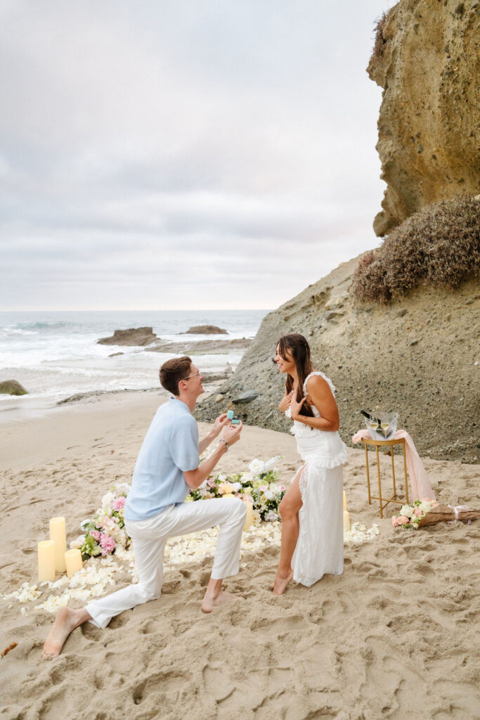 laguna proposal